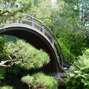 The Garden Serene The Garden Serene