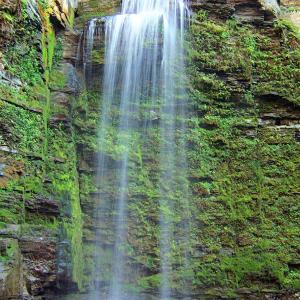 Nature's Hidden Treasure Nature's Hidden Treasure