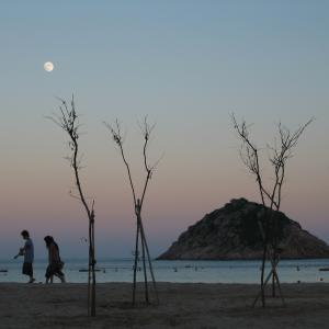 Moonlight Walk Moonlight Walk