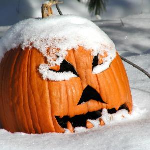 Snowy Pumpkin Snowy Pumpkin