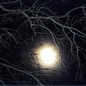 Full Moon Full Moon