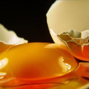 Egg Egg