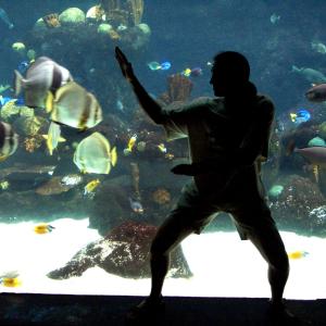 Underwater Kung Fu Underwater Kung Fu