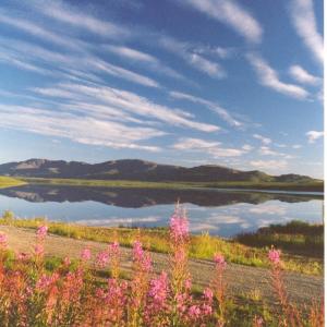 SUMMER IN ALASKA SUMMER IN ALASKA
