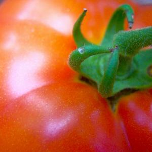 Almost Ripe Almost Ripe