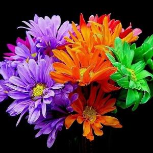 Colors Colors