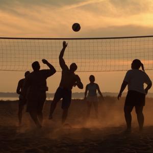 The Volley The Volley