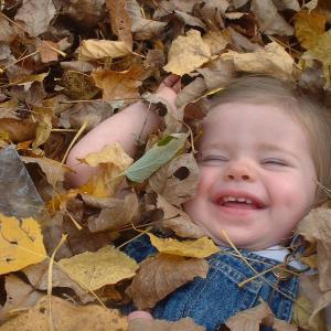 Grace in the Leaves Grace in the Leaves