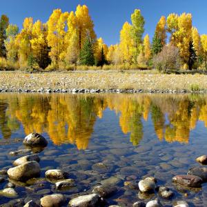 Shallow River Shallow River