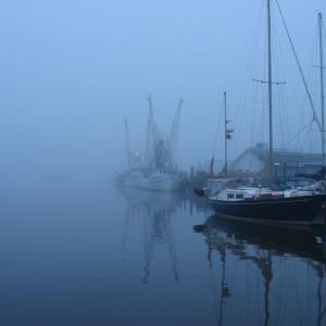 Foggy Harbor Foggy Harbor