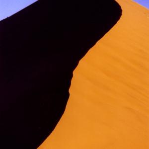 Tree and Sand Dune Tree and Sand Dune
