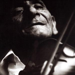 Musician Musician
