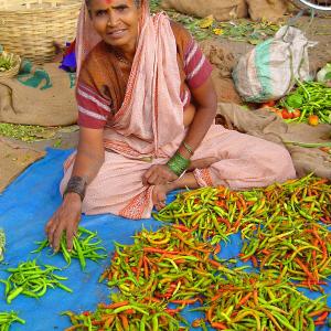 Beautiful Chili Woman Beautiful Chili Woman
