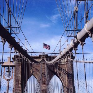 Suspended Liberty Suspended Liberty