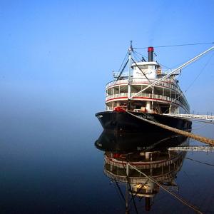 In the Mist In the Mist