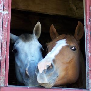 What's the Password? What's the Password?