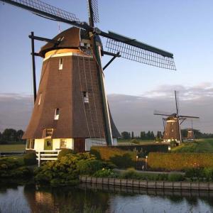 Mills Mills