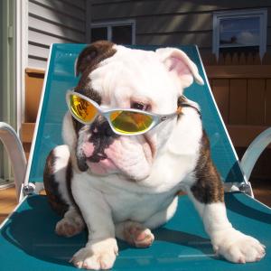 One Cool Dude One Cool Dude