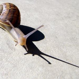 Watch Your Step! Watch Your Step!