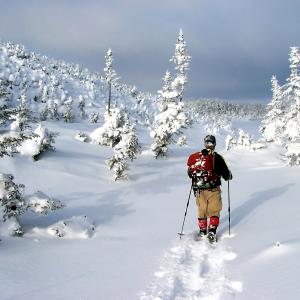 Solitude Solitude
