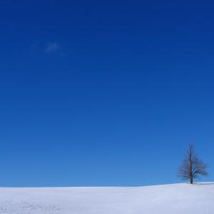 Blue Blue