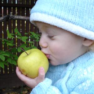 Oh, I Love Apples! Oh, I Love Apples!