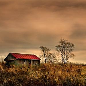 Meadow Land Meadow Land
