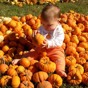 My Little Pumpkin My Little Pumpkin