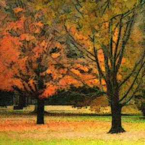 Fall Fantasy Fall Fantasy