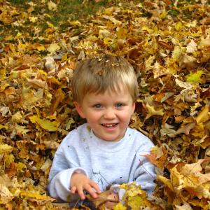 Fun in the Foliage! Fun in the Foliage!