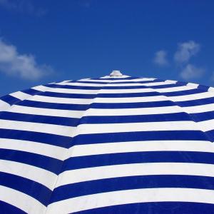 White & Blue White & Blue