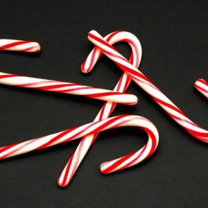 Holiday Treat Holiday Treat