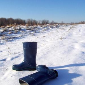 The Missing Barn Boots The Missing Barn Boots