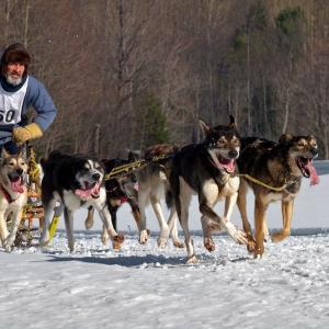 The Mad Mushers The Mad Mushers