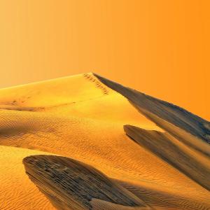 Sandhill Sandhill