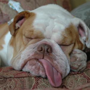 Nap Time Nap Time