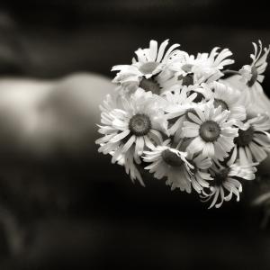 Bouquet Bouquet