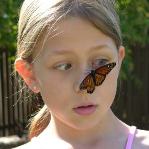Dad, there's a butterfly Dad, there's a butterfly
