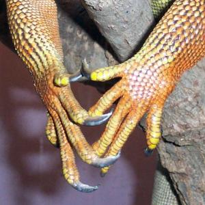 Hands Hands