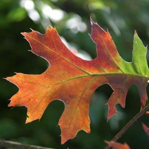 Changing Seasons Changing Seasons