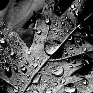 A Fresh Start A Fresh Start