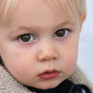Innocence Innocence
