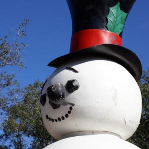 A Holiday Favorite A Holiday Favorite