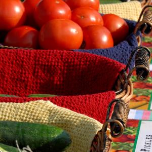 Colorful Harvest Colorful Harvest