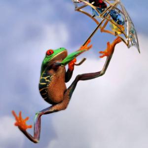 Froggy Poppins Froggy Poppins