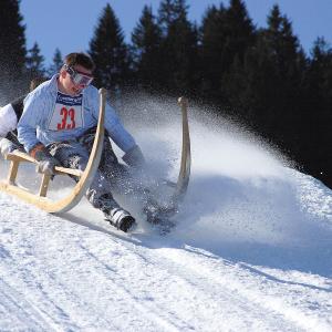 Horned Sled Race Horned Sled Race