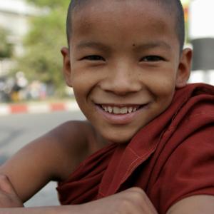 Burmese Novice Burmese Novice