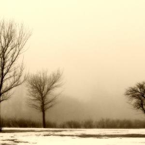 In the Misty Morn In the Misty Morn