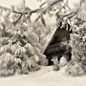 Winter Wonderland Winter Wonderland