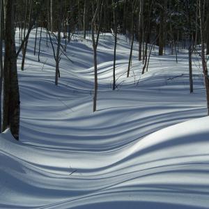 Winter Shadows Winter Shadows